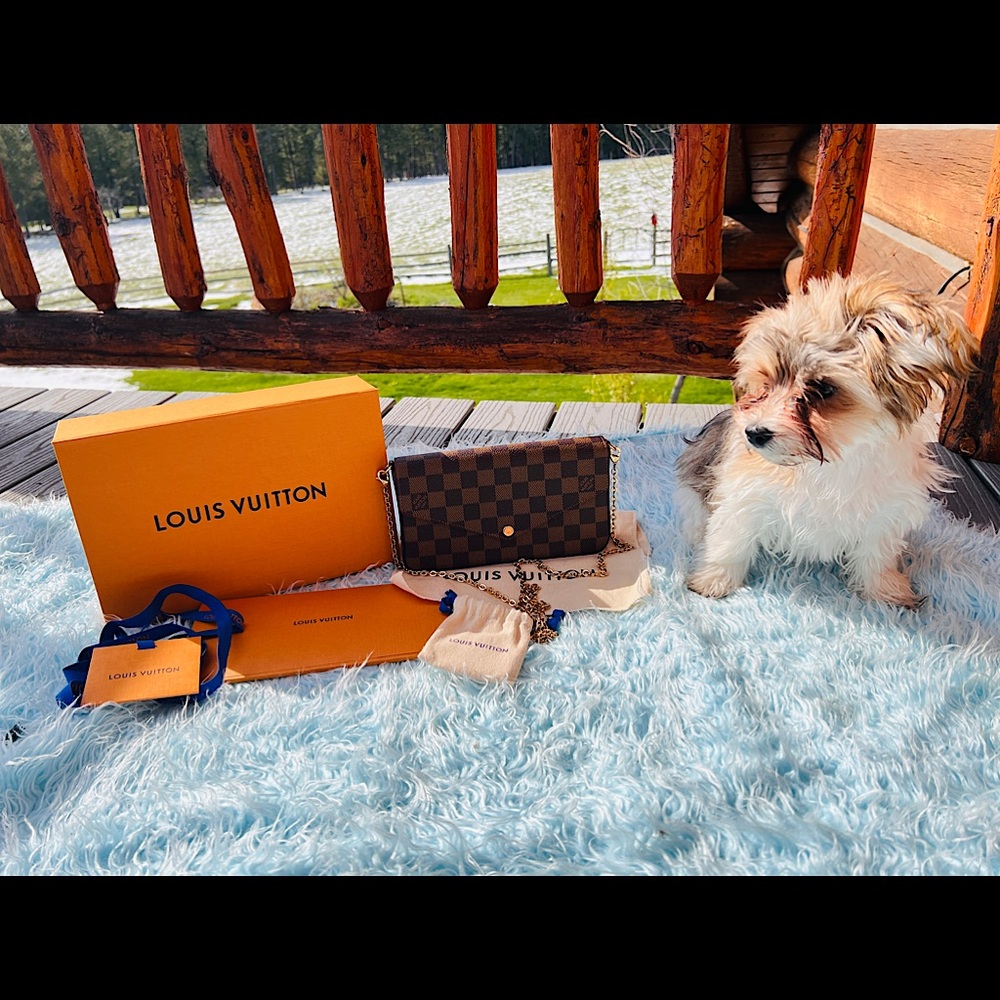 FELICIE in Damier Ebene